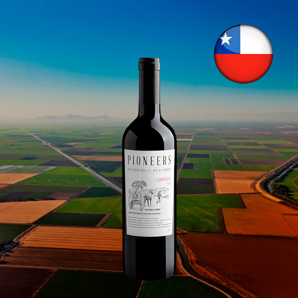Pioneers Carménère 2023 - Oferta