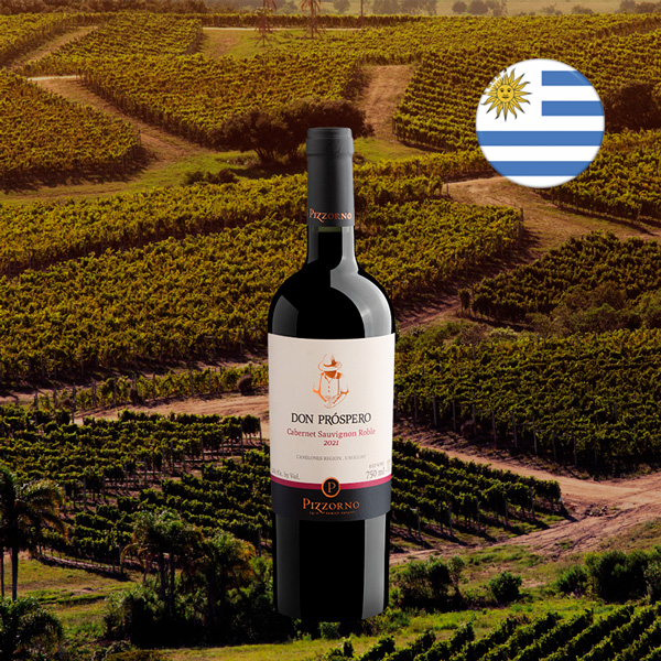 Pizzorno Don Prospero Cabernet Sauvignon 2021 - Oferta