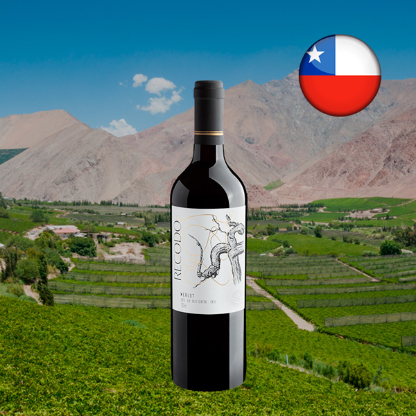 Recodo Merlot Valle Central DO 2023 - Oferta