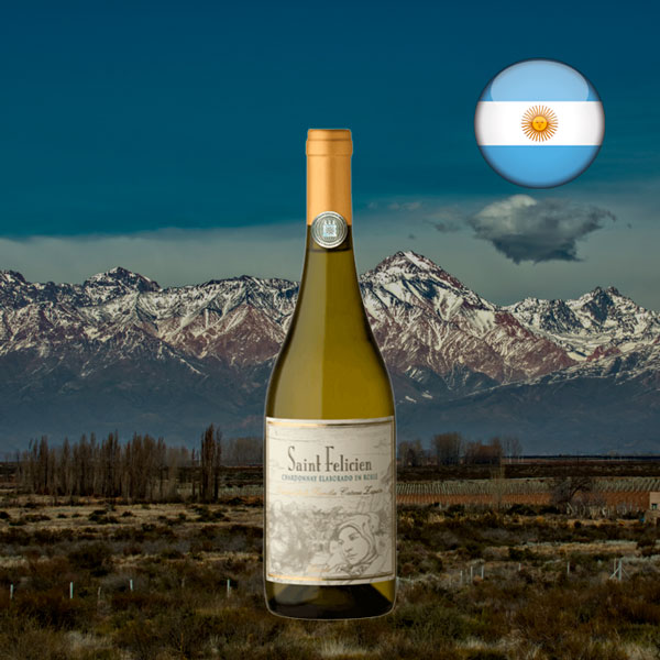 Saint Felicien Chardonnay 2022 - Oferta