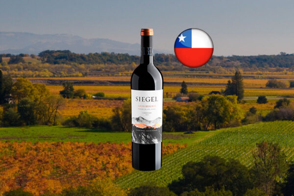 Siegel Gran Reserva Carménère Valle de Colchagua DO 2022 - Thumbnail