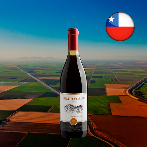 Templo Sur Limited Series Pinot Noir 2024 - Oferta