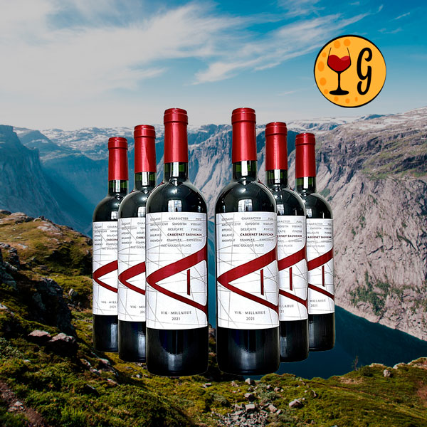 Vik A Cabernet Sauvignon 2021 – Kit com 6 garrafas – Oferta Especial - Oferta