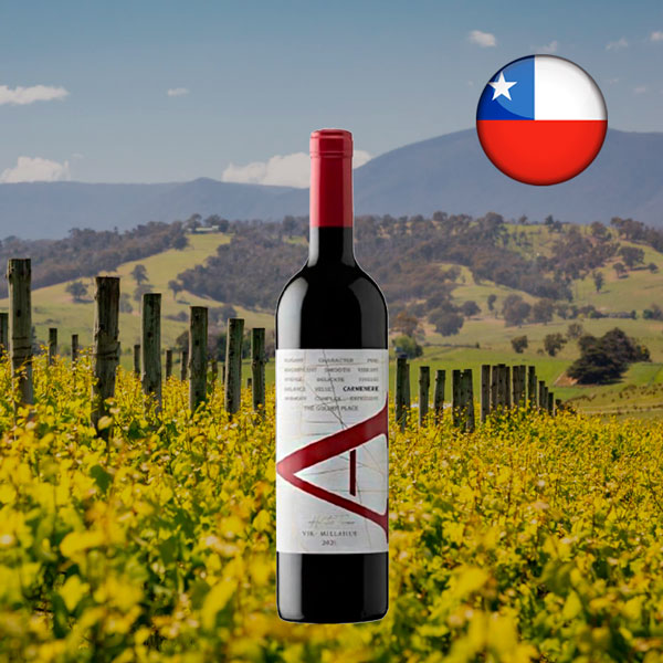 Vik A Carmenere 2021 - Oferta