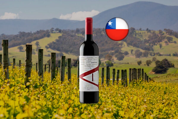 Vik A Carmenere 2021 - Thumbnail