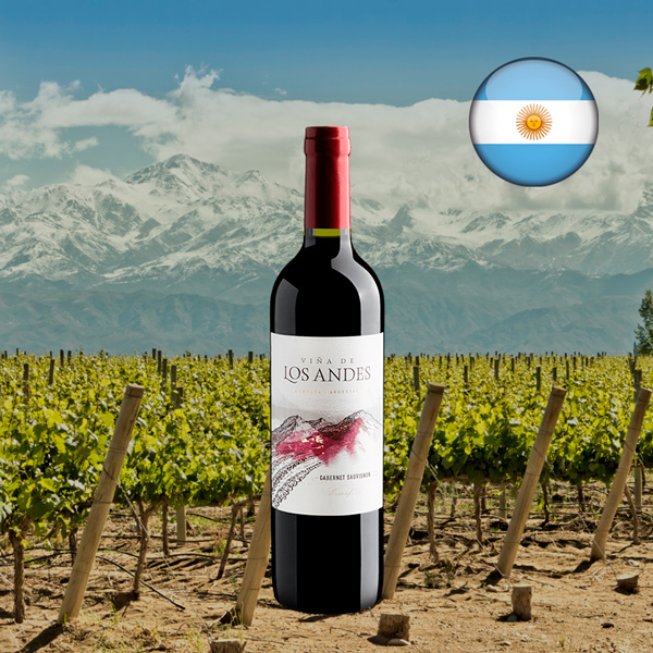 Viña de Los Andes Cabernet Sauvignon 2024 - Oferta