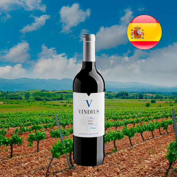 Vindius Tinto Mencía Bierzo DO - Oferta