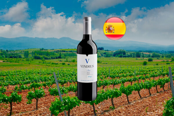 Vindius Tinto Mencía Bierzo DO - Thumbnail
