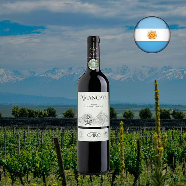Amancaya 2021 - Oferta