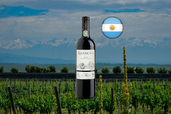 Amancaya 2021 - Thumbnail