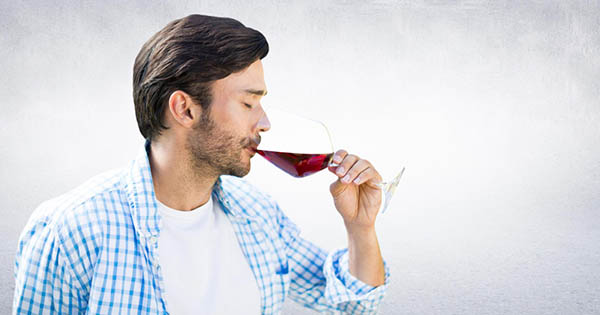 Antuco Reserva Especial Merlot 2020 - Degustando