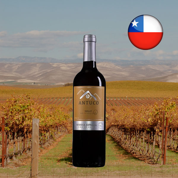 Antuco Reserva Especial Merlot 2020 - Oferta