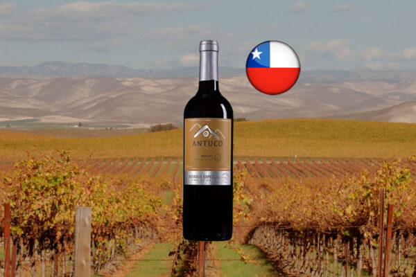 Antuco Reserva Especial Merlot 2020 - Thumbnail
