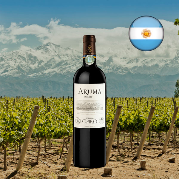 Aruma 2021 - Oferta