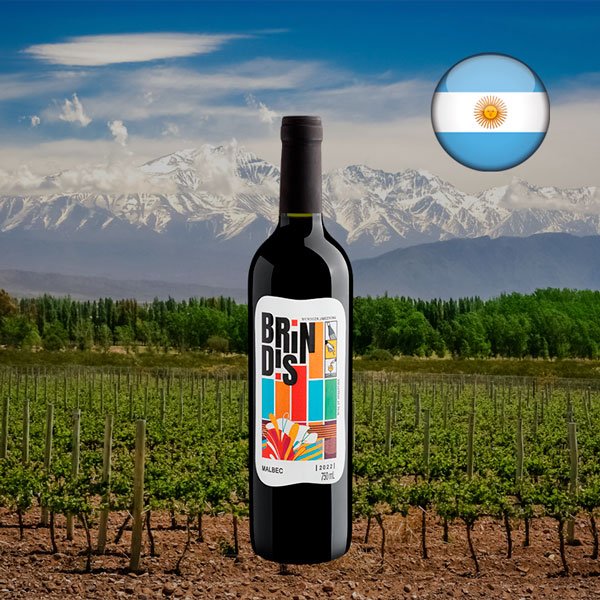 Brindis Malbec 2022 - Oferta