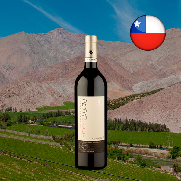 Calyptra Petit Inédito Limited Edition DO Cachapoal Valley 2020 - Oferta