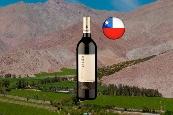 Calyptra Petit Inédito Limited Edition DO Cachapoal Valley 2020 - Thumbnail