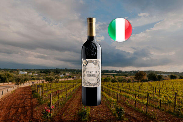 Coppiere Primitivo Susumaniello Salento IGT 2023 - Thumbnail