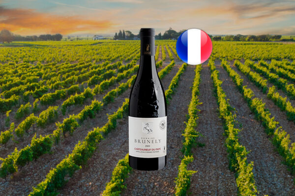 Domaine Brunely L'Anglesse Châteauneuf-du-Pape AOP 2022 - Thumbnail