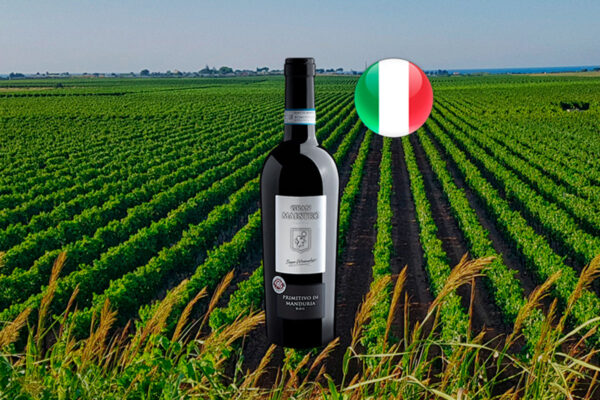 Gran Maestro Primitivo di Manduria DOC 2022 - Thumbnail