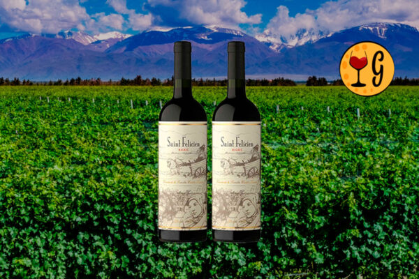 Kit 2 Garrafas Saint Felicien Malbec 2017 – Elegância Mendocina em Dose Dupla - Thumbnail