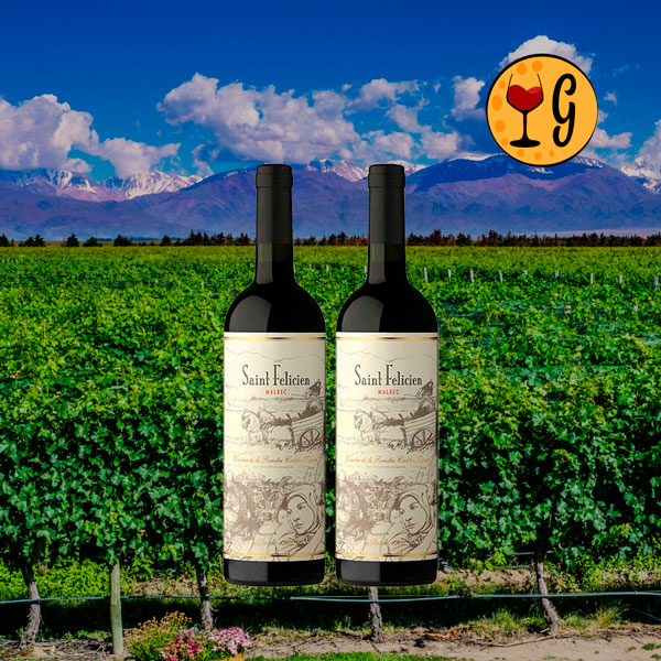 Kit 2 Garrafas Saint Felicien Malbec 2017 – Elegância Mendocina em Dose Dupla - Oferta