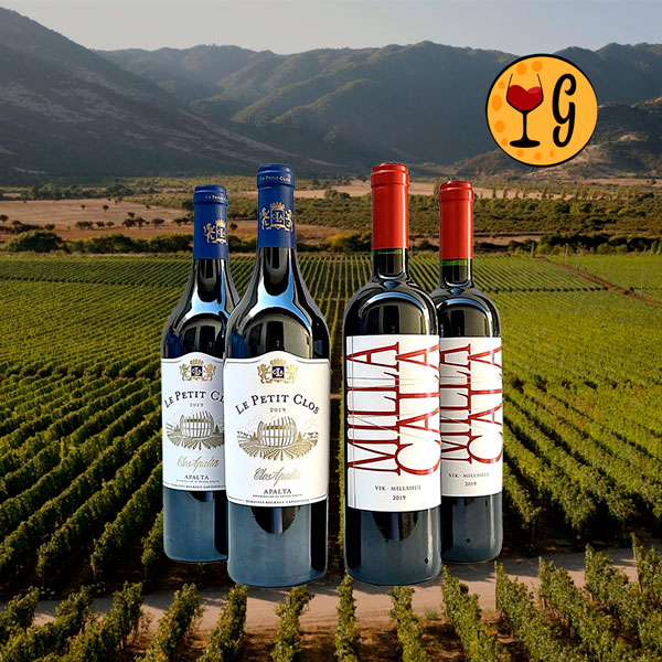 Kit 2 Vinhos Ícones do Chile – Sofisticação em Dobro com Le Petit Clos & Vik Milla Cala - Oferta