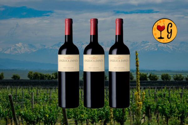 Kit 3 Garrafas Angélica Zapata Cabernet Franc 2022 – Exclusividade e Sofisticação Triplicadas - Thumbnail