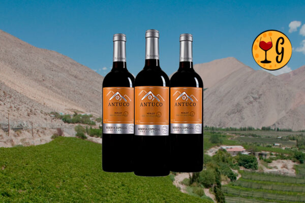 Kit 3 Garrafas Antuco Reserva Especial Merlot 2020 – Elegância e Sabor do Merlot Chileno em Dose Tripla - Thumbnail