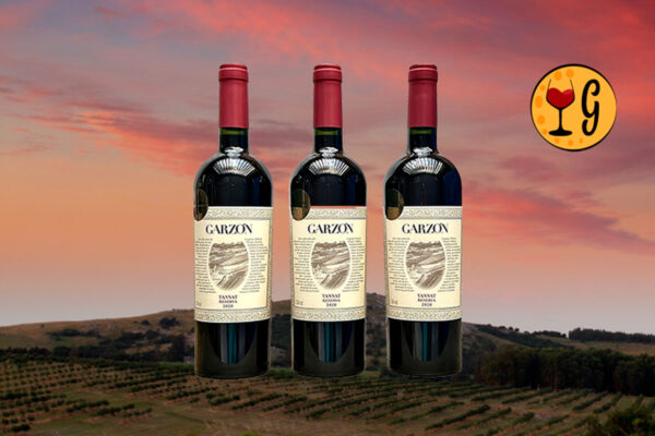 Kit 3 Garrafas Garzón Reserva Tannat 2020 – Potência uruguaia em dose tripla - Thumbnail