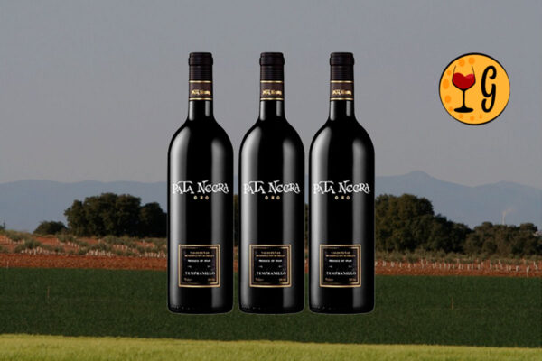 Kit 3 Garrafas Pata Negra Oro Tempranillo 2023 – Paixão Espanhola Triplicada na Taça - Thumbnail