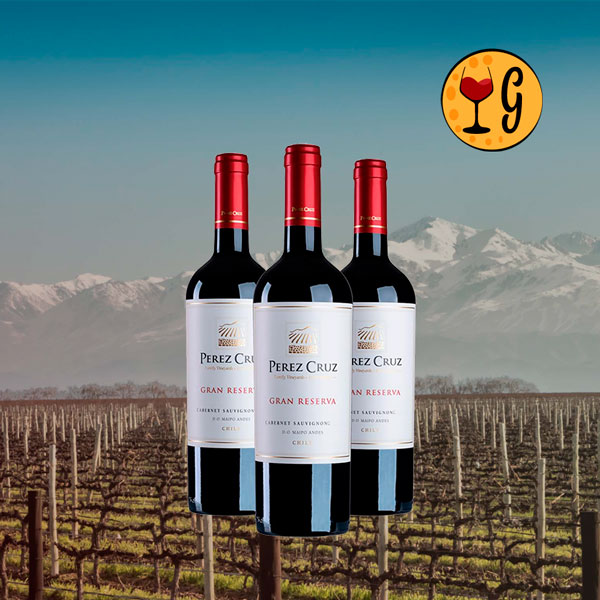 Kit 3 Garrafas Perez Cruz Gran Reserva Cabernet Sauvignon 2021 – Excelência Chilena Triplicada - Oferta