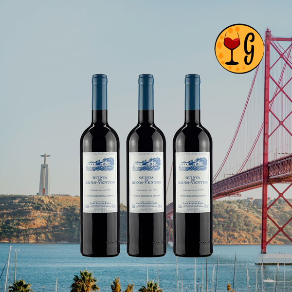Kit 3 Garrafas Quinta de Bons Ventos Tinto – Elegância e Tradição Portuguesa em Dose Tripla - Oferta