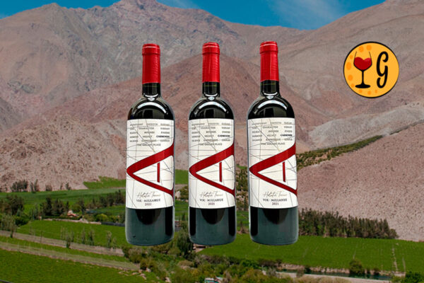 Kit 3 Garrafas Vik Carmenere de Boutique 2021 – Três Vezes o Encanto do Carménère Chileno - Thumbnail