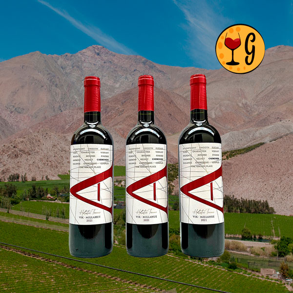 Kit 3 Garrafas Vik Carmenere de Boutique 2021 – Três Vezes o Encanto do Carménère Chileno - Oferta