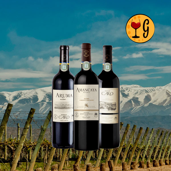 Kit 3 Vinhos Bodegas Caro – Elegância e Potência Franco-Argentina em uma Seleção Exclusiva - Oferta