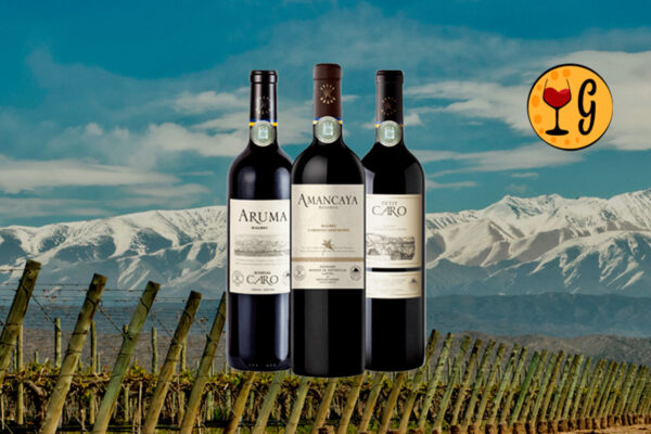 Kit 3 Vinhos Bodegas Caro – Elegância e Potência Franco-Argentina em uma Seleção Exclusiva - Thumbnail