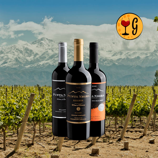 Kit 3 Vinhos Punta Negra – Três Malbecs de Mendoza em Oferta Exclusiva - Oferta