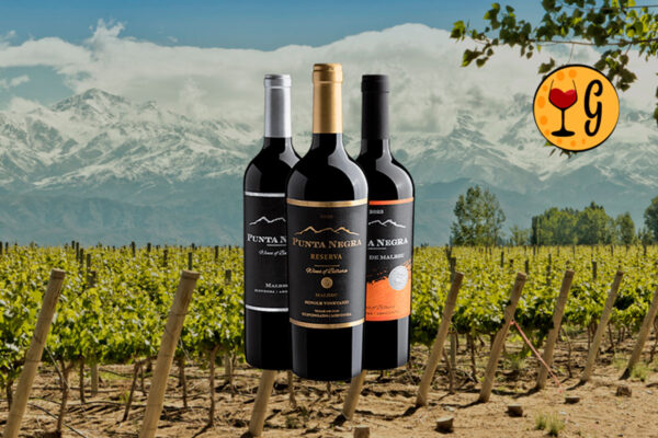 Kit 3 Vinhos Punta Negra – Três Malbecs de Mendoza em Oferta Exclusiva - Thumbnail