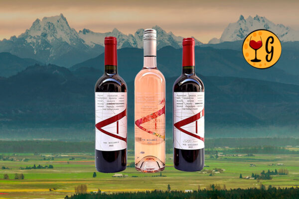 Kit 3 Vinhos Vik A – Cabernet Sauvignon, Carmenère e Rosé – Versatilidade e Sofisticação Chilena - Thumbnail
