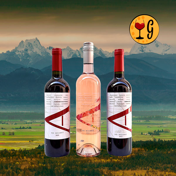 Kit 3 Vinhos Vik A – Cabernet Sauvignon, Carmenère e Rosé – Versatilidade e Sofisticação Chilena - Oferta