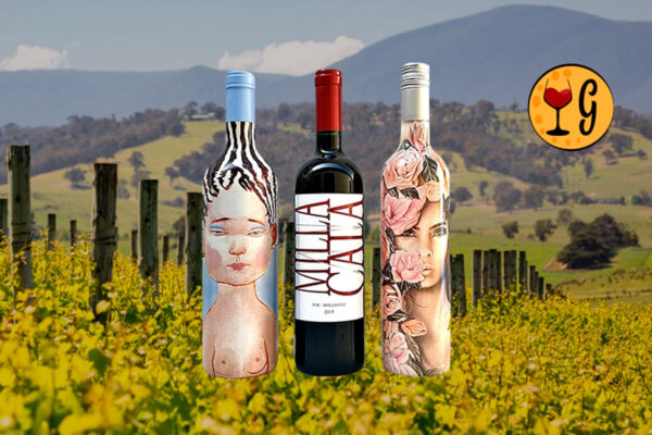 Kit 3 Vinhos Vik La Piu Belle & Milla Cala – Elegância e Arte Chilena em Três Rótulos - Thumbnail