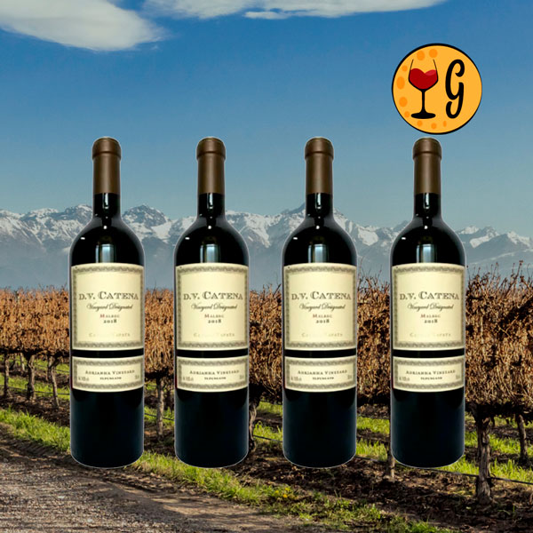 Kit 4 Garrafas DV Catena Adrianna Vineyard Malbec 2018 – O Grand Cru Argentino Multiplicado por Quatro - Oferta