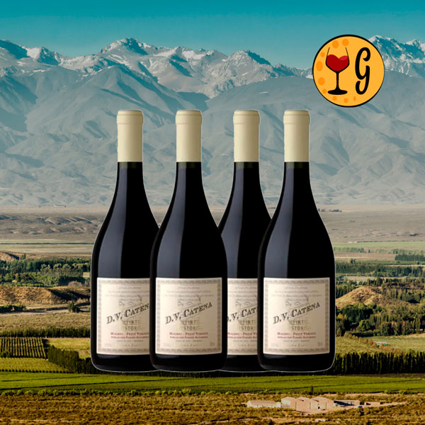 Kit 4 Garrafas DV Catena Histórico Malbec-Petit Verdot 2022 – Tradição e Sofisticação Multiplicadas por Quatro - Oferta