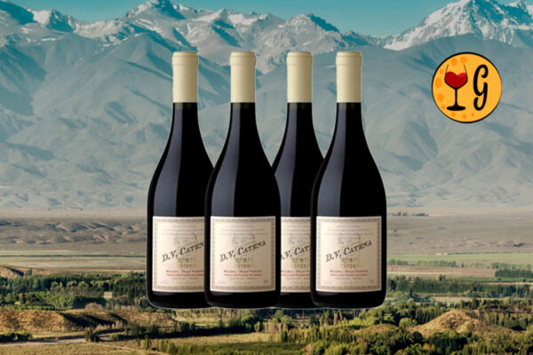Kit 4 Garrafas DV Catena Histórico Malbec-Petit Verdot 2022 – Tradição e Sofisticação Multiplicadas por Quatro - Thumbnail