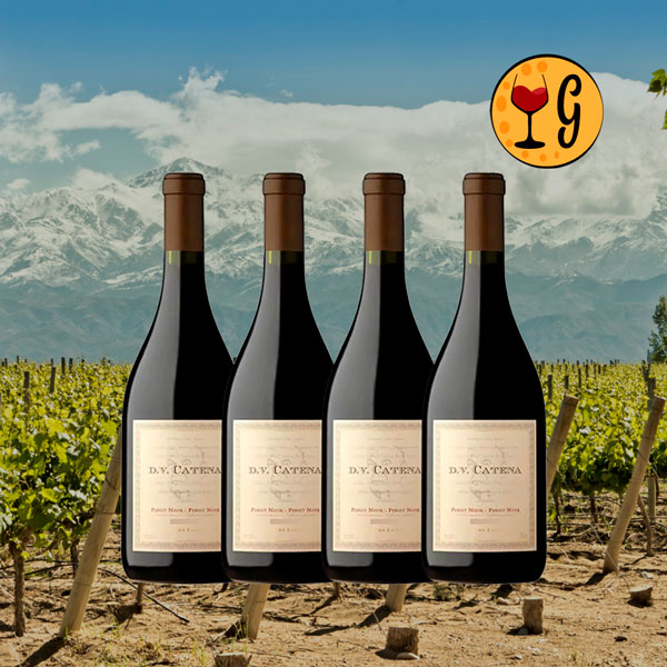 Kit 4 Garrafas DV Catena Pinot Noir 2023 – Elegância de Altitude em Dose Quádrupla - Oferta