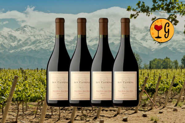 Kit 4 Garrafas DV Catena Pinot Noir 2023 – Elegância de Altitude em Dose Quádrupla - Thumbnail
