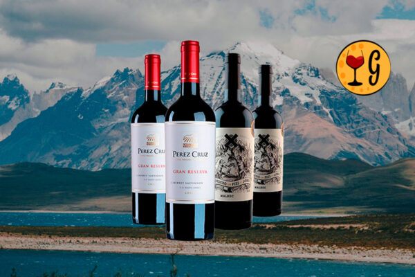 Kit 4 Vinhos Cabernet Chileno & Malbec Argentino – Encontro Andino em 4 Garrafas Exclusivas - Thumbnail