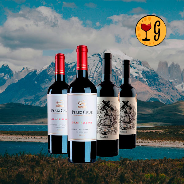 Kit 4 Vinhos Cabernet Chileno & Malbec Argentino – Encontro Andino em 4 Garrafas Exclusivas - Oferta