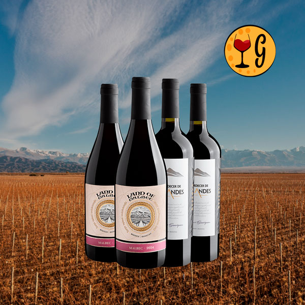 Kit 4 Vinhos Malbec & Cabernet Sauvignon – Potência e Elegância em Dose Dupla - Oferta